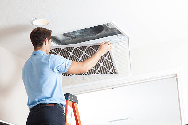 Best Air Quality Test  in Junction, TX